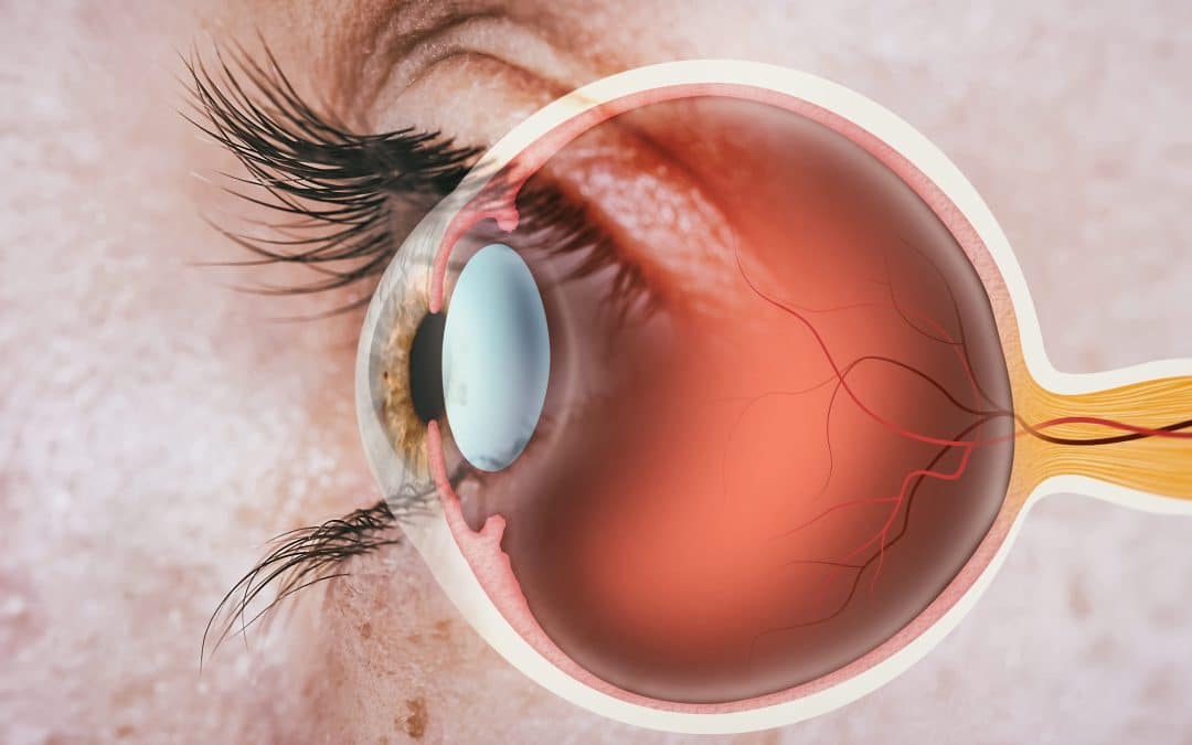 Fungsi Retina Mata, Risiko Penyakit, dan Cara Merawatnya